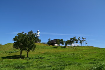 Landscape with field and trees in Hokkaido, Japan