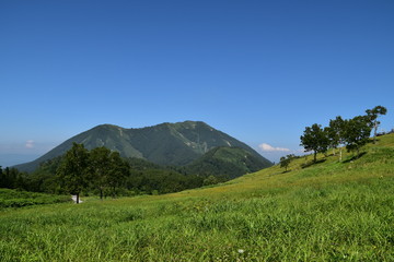 Fototapeta premium Landscape with Mountain and forest in Hokkaido, Japan