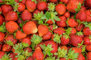 Natural looking fresh red strawberry. Macro with shallow depth of field.