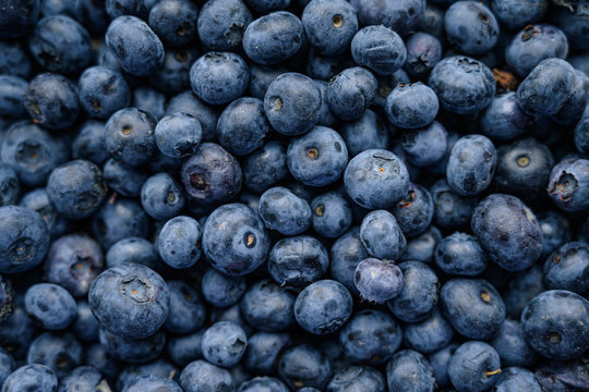 Natural looking blueberries on wooden background. Selective focus.