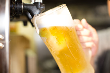生ビール