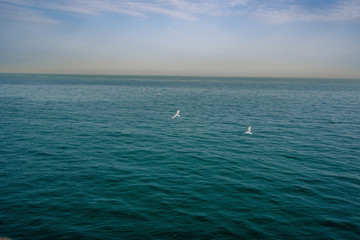 Birds flying across teal blue ocean. Beautiful scene