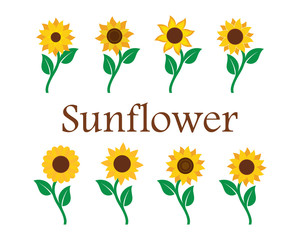 Sunflower logo icon vector