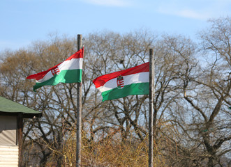 Hungarian flag waving in the wind agains natural background