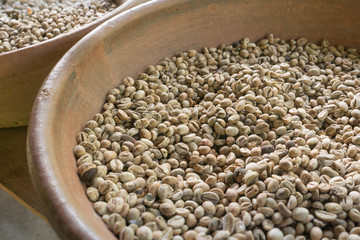 Luwak Coffee Beans