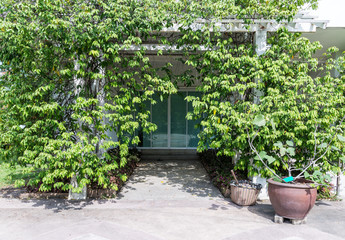 Park office that is covered with trees.