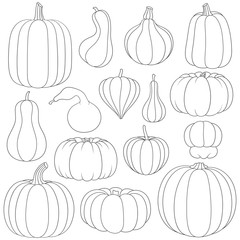Set of black and white images with pumpkins of different types and shapes. Isolated vector objects on white background.