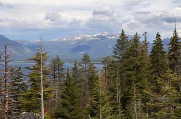 Landscape with forest, lake and mountain.