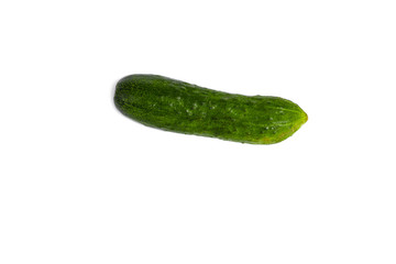 Fresh green cucumber isolated on white background. Close up
