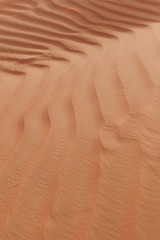 Sand waves on a sand dune in Dubai. Sand Dunes of the Desert