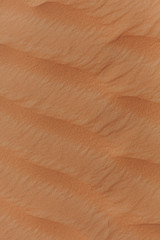 Sand waves on a sand dune in Dubai. Sand Dunes of the Desert