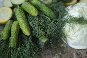 Zucchini, sliced rings, and other vegetables, surrounded with cucumbers, cabbage and dill.