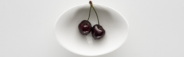 panoramic shot of fresh, sweet, red and ripe cherries with droplets on bowl