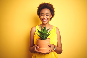 Young african american woman holding cactus pot over isolated yellow background with a happy face...