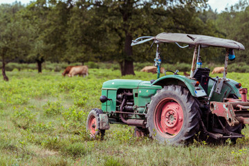 Oldtimer Traktor mit Wasserfass im Naturschutzgebiet © Lukas
