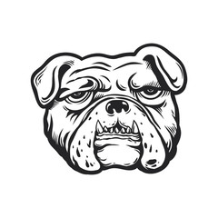 Fototapeta premium illustration of bulldog head ,sticker vector