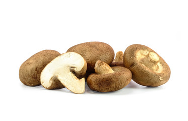 pile of mushroom on white