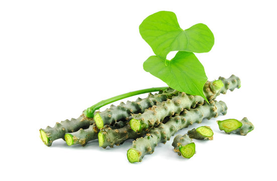 pile of mooseed herb on white background