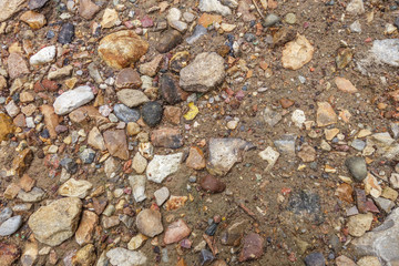 abstract background of colored pebbles on wet sand close up