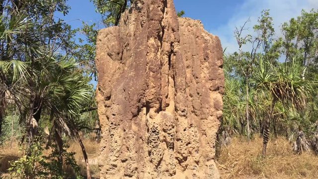  Cathedral termite mound in Litchfield National Park in the Territory of Australia.