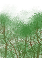 trees in the forest