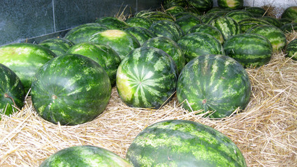 watermelons are on the straw