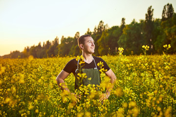 A young man farmer or agronomist examines the quality of rapeseed oil on a rape field. Agribusiness concept