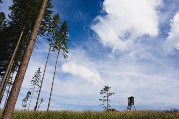 Simple minimalist landscape scenery with wooden hide (tower), grass field, dark blue sky and trees....
