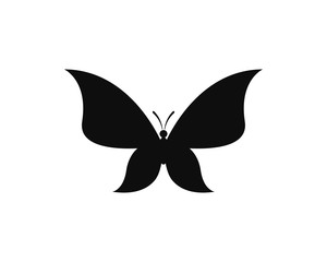 Vector - Butterfly conceptual simple, colorful icon. Logo. Vector illustration