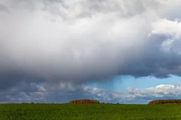 Fotobehang Big cloud over green land. © Janis Smits
