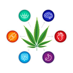 Benefits of CBD