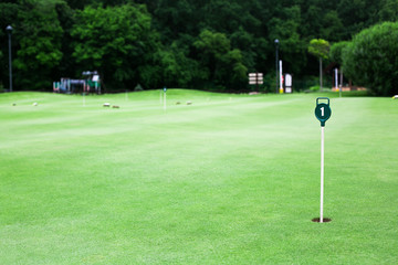 Golf course with a flag on the green grass