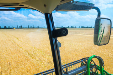 The machine for harvesting grain crops - combine harvester in action on rye field at sunny summer...