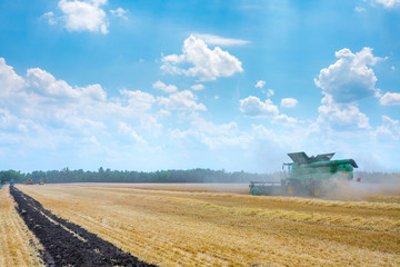 Fototapeta premium The machine for harvesting grain crops - combine harvester in action on rye field at sunny summer day. Agricultural machinery theme.
