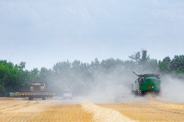 The machine for harvesting grain crops - combine harvester in action on rye field at sunny summer...