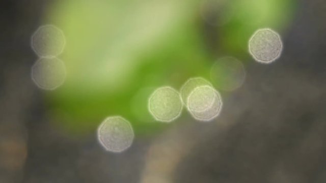 Blurred background, air bubbles move on the water surface on a sunny day.
