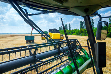 The machine for harvesting grain crops - combine harvester in action on rye field at sunny summer...