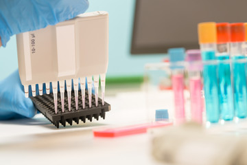 Laboratory of genetic research. PCR plates and multichannel pipettes