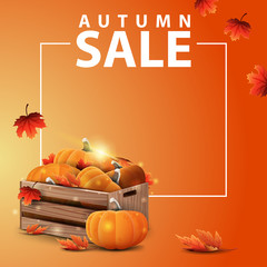 Autumn sale, square web banner for your website with wooden crates of ripe pumpkins and autumn eaves