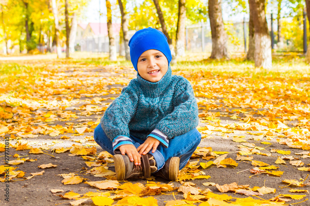 Wall mural smiling boy in a hat and sweater sitting in the Park in the autumn