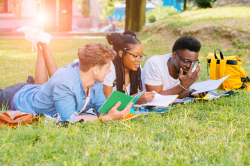 Group of multiethnic students lying on green grass at park, preparing for final exam, university...