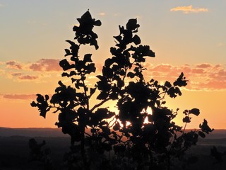 Sunset view of Bom Jardim Village, Nobres, Mato Grosso, Brazil. Great landscape. Travel...