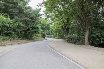 Fototapeta na wymiar Walkway in Park at Seoul Korea