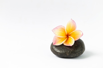 Fototapeta na wymiar Beautiful Plumeria flower on black stone isolate on white background, spa decoration idea