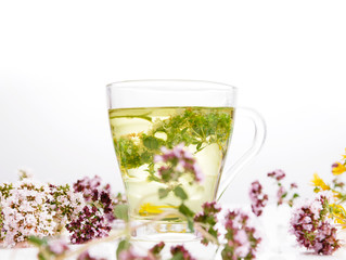 Herbal tea with origanum isolated on white background
