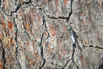 ◉Kyoto Photography◉Landscape of Uji◉