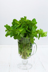 Transparent glass with a bouquet of fresh mint stands on a white wooden background with scuffs