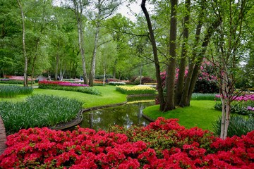 Tulip Gardens,  Keukenhof Netherlands