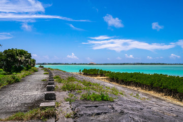 Fototapeta premium 宮古島 川満漁港 マングローブ