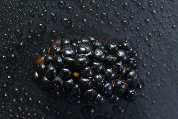 Blackberries in drops of water on a black background